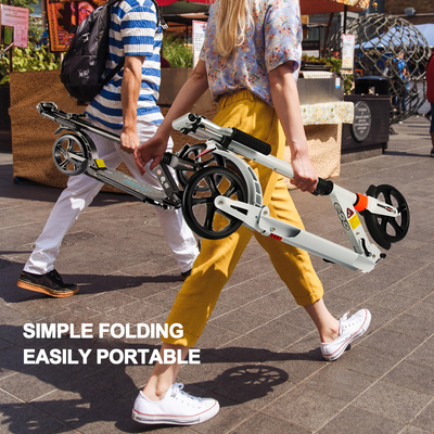 Adults 2 Wheel Kick Scooter Skate Board Scooter Wear Resistant
